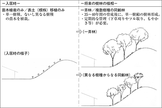 図12 -植栽方法の組み合わせ(単一の整備実施)