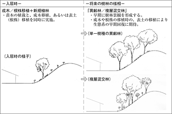 図13 -植栽方法の組み合わせ(複数の整備実施)