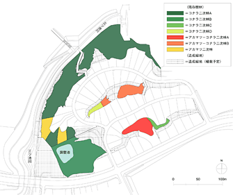 図7-「舞多聞みついけゾーン」の樹林状況