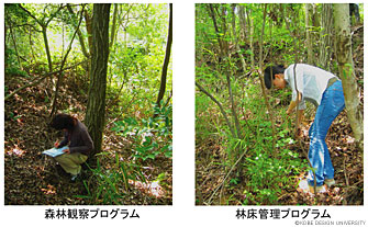 写真3 各森林浴プログラムの実施風景 (撮影上原)　