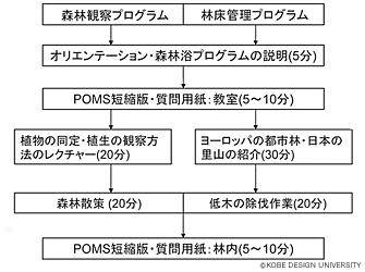 図3 森林浴プログラムの実施内容