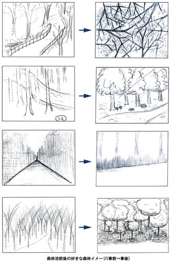 図6 森林イメージの変化