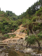 写真12 3) 林地から木材の伐採・運搬(写真：齊木研究室　2005年9月)
