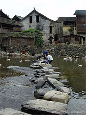 写真7 川辺の生活用水と取水路(写真全て：齊木研究室　2005年9月)
