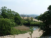 図1-2-20　溜め池と周辺緑地(写真：齊木研究室、2006.5)