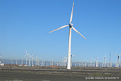 図3-5　ウルムチ郊外の世界最大の風力発電群