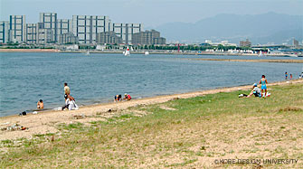 写真1　現在の御前浜風景