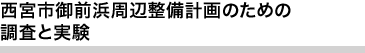 西宮市御前浜周辺整備計画のための調査と実験