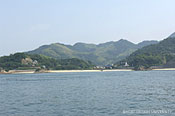 写真14　小佐木島の回復した緑(写真:齊木崇人、2006.8)