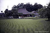 図1-1-2 神戸に広がる農村集落の民家 (写真:齊木、1993)