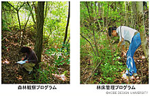 写真4　各森林浴プログラムの実施風景 (上原撮影)