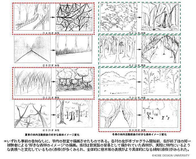 図6　森林イメージの変化
