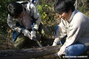 図3-1-3　第2回緑地管理ワークショップの風景(写真：橋本、2007)