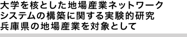 大学を核とした地場産業ネットワークシステムの構築に関する実験的研究
兵庫県の地場産業を対象として