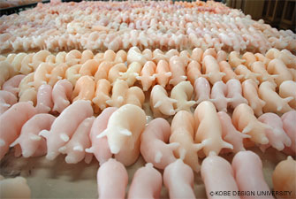 写真20　量産された豚