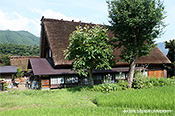 写真2　和田家の北面に防風林、西面に玄関があり、東面には生活空間が増築(2008.7.19)