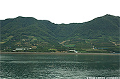 図5　高根島の段々畑 (撮影：木下怜子 ,2008/07/17)